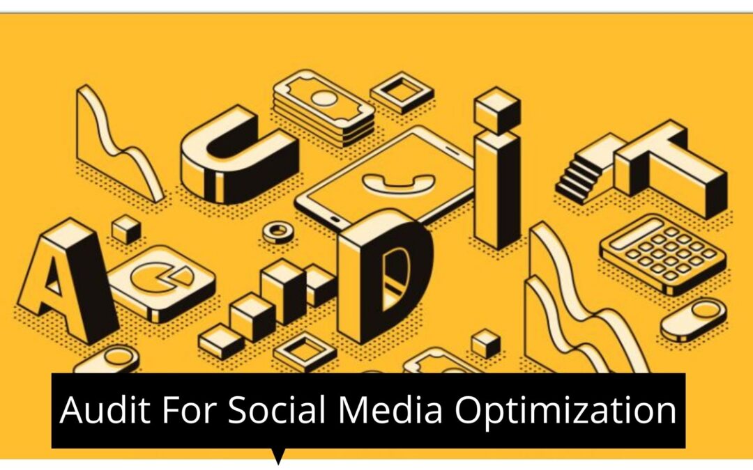 Social Media Audit Vector Image